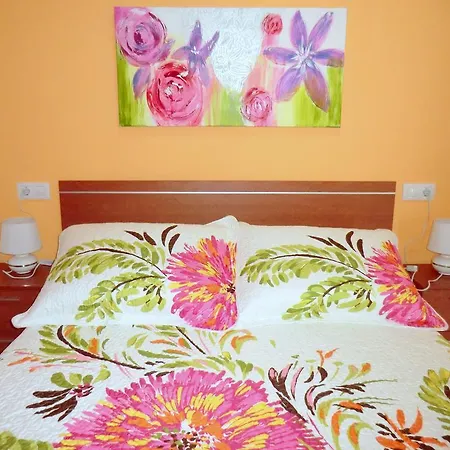 Gola Destany 49 2-4 *